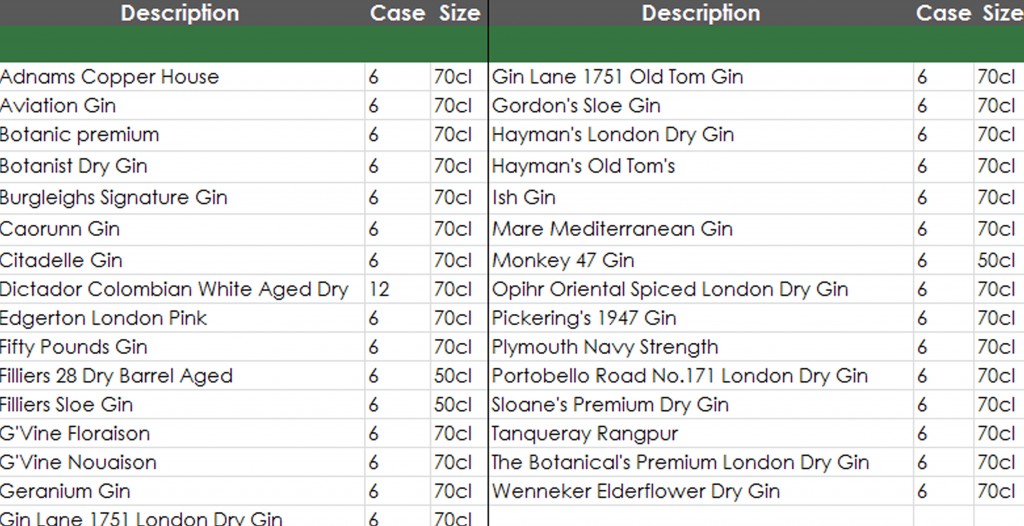 gin website image inner