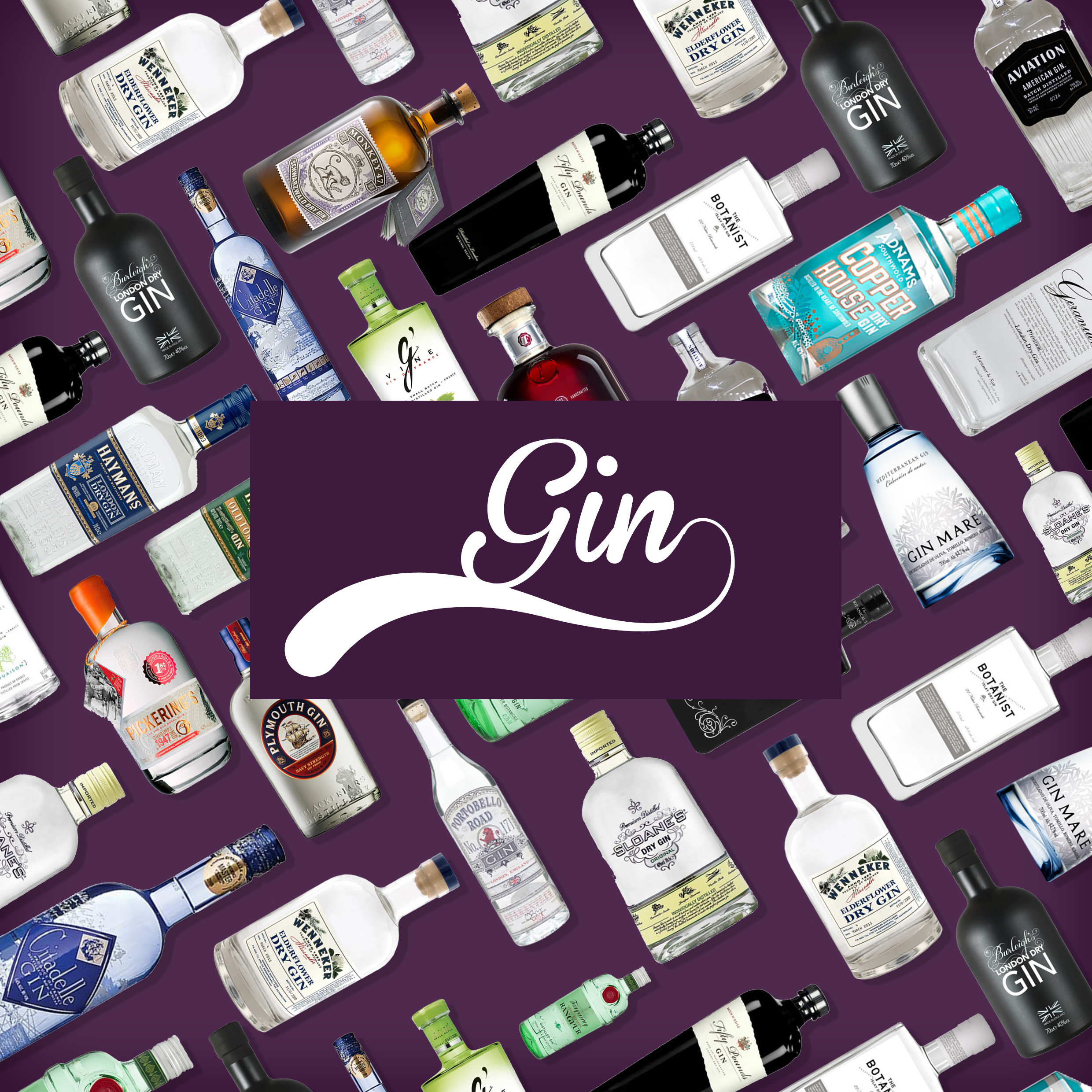 Our Gin Portfolio Image